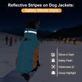 Dog Coats for Small Dogs, Warm Dog Winter Jacket with Harness, XS