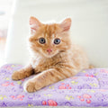 Tierecare 2 Pack Cat Blanket for Indoor Cat, Warm Calming Kitten & Puppy Beds for Anxiety and Stress, Washable Small Dog Mat for Crate, Fuzzy Pet Blankets