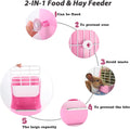 HERCOCCI Rabbit Hay Food Bin Feeder and Bunny Water Bottle Set, Hay Food Feeder Bowls Manger Rack with 500ml Hanging Wat