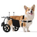 Virbraroo Corgi&Dachshund Dog Wheelchiar - Dog Wheelchair for Back Legs – Lightweight Adjustable Mobility Aid for Medium Dogs - Ideal for IVDD, Arthritis & Injury Recovery