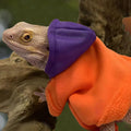Lizard Clothes for Bearded Dragons Reptile Apparel Handmade Cotton Material Hoodies Gift for Lizard Small Animal Gecko C