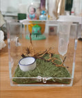 AWXZOM Spider Terrarium, Acrylic Reptile Breeding Box Jumping Spider Enclosure with Dropper Tongs Snail cage, Cricket En