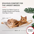 7 Ruby Road Cat Wall Hammock – Wall Mounted Cat Bed for Large Cats – Wood Perch Shelf, Cat Hammock for Wall, Holds Up to 35 lbs
