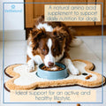 VetNatural Taurine for Dogs, 99.99% Pure Taurine Powder – Immune Support, Boost Energy, Skin & Coat Health for Heart, Vi