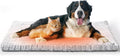 Papettly Self Warming Cat Bed 37 x 25.6 in - Beds for Indoor Outdoor Cats and Dogs, Machine Washable Cat Heating Pad, 2 