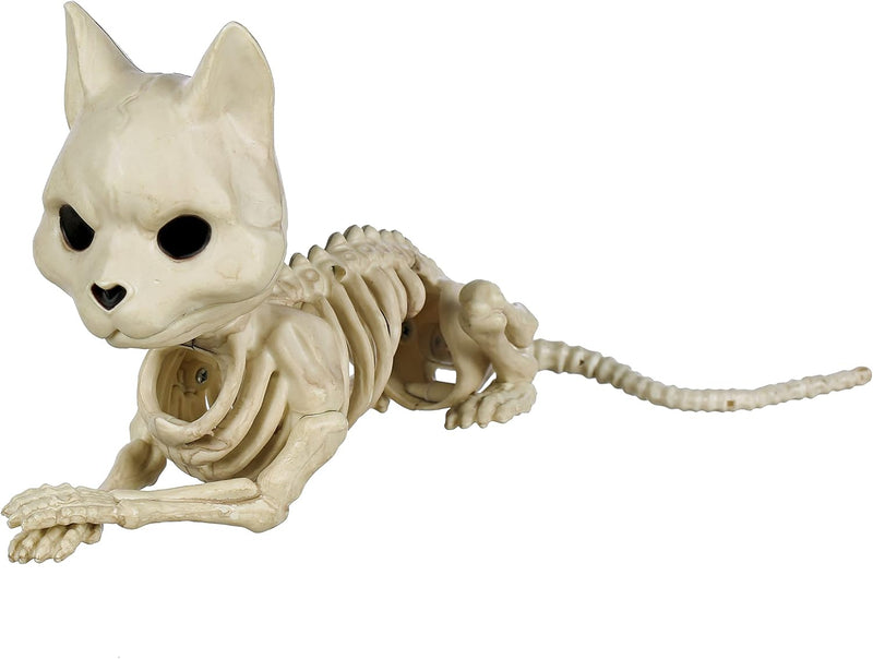 Crazy Bonez Cute Skeleton Cat