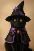 Halloween Cat Witch Costume, Halloween Costumes for Cats