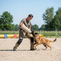 Morezi Dog Bite Sleeve Training Large Dogs, Strong Jute Training Equipment, Fit Pit Bull German Shepherd K9, Puppy Young