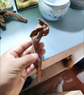 YZHZOM Small Natural Driftwood for Aquarium Styling Carefully Selected Natural Aquarium Decor Driftwood for Reptile Tank