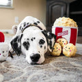 ZippyPaws Burrow Interactive Dog & Puppy Toys for Boredom