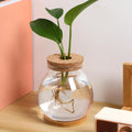 POPETPOP Desktop Glass Fish Bowl - Round Small Fish Tank