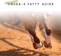 Manna Pro Cetyl-M Horse Joint Supplement with Omega-5, 5.1 lb