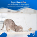 Cat Dancer Interactive Cat Toy - Fun and Fitness for Your Furry Friend - Engaging Paper Roll Attached with 30 Inches Fle