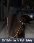 Reflective Dog Collar for Small Dogs with Silicone Tag Holder