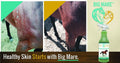 Big Mare Horse Skin & Wound Care Spray, 32 oz | Antibacterial & Antifungal No-Sting Equine Formula for Scratches, Rain R