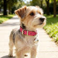 Hot Pink Kitten Collar with Bell, Soft Pu Leather Small Dog Collars Adjustable Buckle for XXS XS Extra Small Medium Tiny