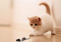 AXEL PETS 20 Furry Mice with Catnip and Rattle Sound Made of Real Rabbit Fur Interactive Catch Play Mouse Toy for Cat, Pack of 20 Mice