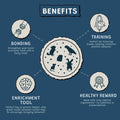 Treats, 100% All Natural Mini Bites for Rabbit Hamster Guinea Pig Chinchilla Pet Rat Mice Gerbil Bird Healthy Enrichment