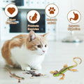 DONGKER 4 PCS Cat Lizard Toys,PVC Simulated Lizards Kitten Toys Bite Resistant for Kittens Adult Cats Over 6 Months Old 
