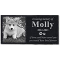 ODB Personalized Pet Memorial Stones, Black Granite Memorial Garden Stone Engraved with Photo, Gifts for Someone Who Lost a Loved One, or Pet, Dog, Cat (with Photo)