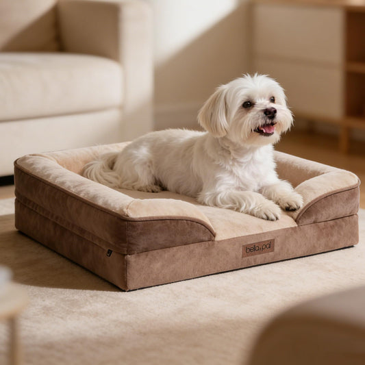 BELLA & PAL Orthopedic Dog Sofa Bed for Medium/Large Dogs – No Assembly Needed, Chew-Proof Egg-Crate Foam Dog Couch with Waterproof Liner, Washable Removable Cover (Brown, 28" L x 23" W x 6.5" Th)