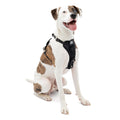 Kurgo Enhanced Strength Tru-Fit Dog Car Harness - Pet Travel Safety Harness - Crash Test Certified Fit - Five Point Adjustment - Secure Buckle - Padded Chest - Black - Medium