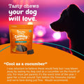 Zesty Paws Flavored Soft Chews - Calming for Dogs Anxiety Composure Relief with Ashwagandha Melatonin Chamomile Passionflower Dog Stress Separation Aid for Fireworks and Thunder 20 oz