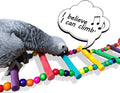 DS. DISTINCTIVE STYLE Bird Ladder Toys Coloured Flexible Parrot Swing Bridge Wooden Cockatiel Cage Hanging Climbing Ladder (39 in (16 Steps))