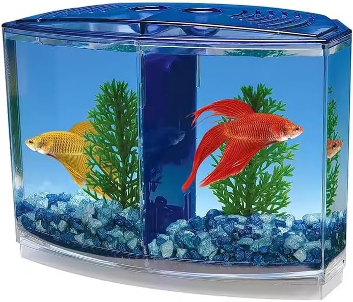 EatingBiting Large Double Compartment Fighting Fish Box Eco Rumble Fish Aquarium Mini Aquarium Plastic Isolation Box Bre