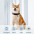 Pawaii Silent Silicone Dog ID Tag, QR Code Pet Tag with Updatable Digital Pet Profile, Emergency Contacts, QR Scan Alerts, No App or Subscription, 1 Pack, Deep Sea Blue