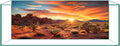 Reptile Background Film, Static Cling, Glue-Free, Desert, 17.7" H×47.2" W