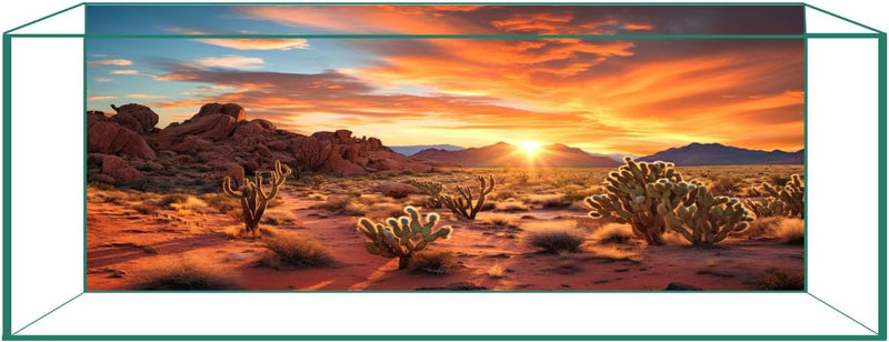 Reptile Background Film, Static Cling, Glue-Free, Desert, 17.7