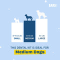 Barkbox Bright Original Dog Dental Kit, 30 Teeth Cleaning Chew Sticks & Toothpaste - Medium Breeds