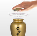 Trupoint Memorials Pet Urn for Dogs and Cats Ashes, Paws Print Grey Cremation Urns for Pets - Gold, Small Up to 17lb