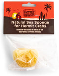 Fluker's Natural Sea Sponge for Hermit Crabs
