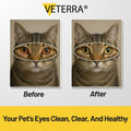 Pet Eye Drops , Cat Eye Drop | Pet Eye Health Formula - Treats & Prevents Eye Diseases in Dogs & Cats (Conjunctivitis, T