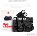 Pet Parents® Washable Dog Diapers (3pack) + Extendrs® of Durable Doggie Diapers, Premium Dog Diapers Female & Male (Larg