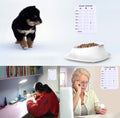 Pet Feeding Reminder for Dogs Cats - Magnetic Sticker 3 Times A Day Indication Chart Feed Your Pets, Magnets and Double 