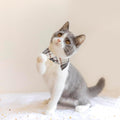 ADOGGYGO Boy Cat Collar Breakaway with Bell, Blue Plaid Cat Shirt Collar