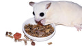 Glider Complete - Healthy High Protein Nutritionally Complete Staple Diet Sugar Glider Food (2 lb)