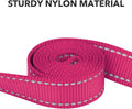 Taglory Reflective Dog Leash for Small Dogs, 3/4in x 4ft, Hot Pink