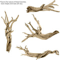 Koyal Wholesale 12” Driftwood Terrarium Decor, Clean California Manzanita Drift Wood Reptile Decor, Driftwood Decor for 