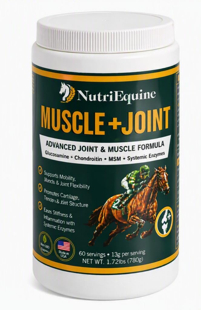 Horse Joint Supplement Powder, Glucosamine, Chondroitin & MSM