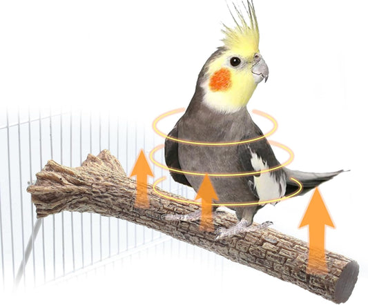 Heated Bird Perch for Cage Bird Thermo Perch Warmer Cage Heater for African Grey, Parakeets, Cockatiels, Medium Exotic P