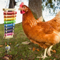 2pcs Chicken Toys, Chicken Swing Toys and Chicken Toys Xylophone