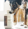 ION* Intelligence of Nature Gut Support for Pets, 16 Fl Oz (Pack of 1)