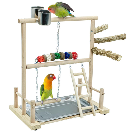 kathson Bird Play Stand Parrot Perch Stand Natural Wood Bird Playground Playstand for Cockatiel Conures Parakeet Parrots Budgie Lovebird Finch Small Birds