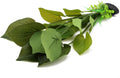 ALEGI Silk Aquarium Plants, 12 Inch Artificial Silk Plants Decorations