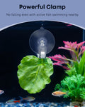 Pawfly 6 Pcs Aquarium Suction Cups with Clips, Aquarium Suction Cup Clips, Clear Plastic Fish Feeding Tool, Plant Leaf S
