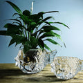 MLAQLS Fish Glass Bowl Multipurpose Living Room Turtle Tank Office Decoration Craft Ornaments Hydroponic Plant Utensils 